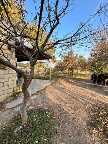 Вилки: Yevlax rayon Malbinəsi kəndində obyekt satılır. Qiymət razılaşma ilə at lalafo.az — 5 Вилки: Yevlax rayon Malbinəsi kəndində obyekt satılır. Qiymət razılaşma ilə — 5