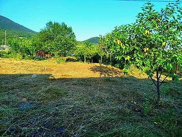 6 sot, Tikinti, Mülkiyyətçi, Kupça (Çıxarış) lalafo.az -da 6 sot, Tikinti, Mülkiyyətçi, Kupça (Çıxarış)