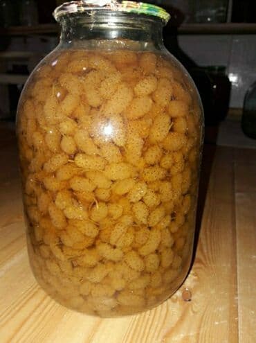 Tut murebbesi satilir. basqa murebbelerde var .ag gilas encir lalafo.az -da Tut murebbesi satilir. basqa murebbelerde var .ag gilas encir