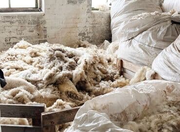 Сёдла: Qoyun yunu satılır.Çəkisi 900 kq.Çirklidir.Real alıcılar əlaqə at lalafo.az — 1 Сёдла: Qoyun yunu satılır.Çəkisi 900 kq.Çirklidir.Real alıcılar əlaqə — 1