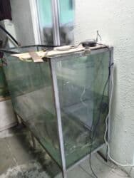 ПО для бизнеса: Akvarum Qalın Şüşədən Hazrlanmş künclərində Dəmir provillə bağlanmış at lalafo.az — 1 ПО для бизнеса: Akvarum Qalın Şüşədən Hazrlanmş künclərində Dəmir provillə bağlanmış — 1