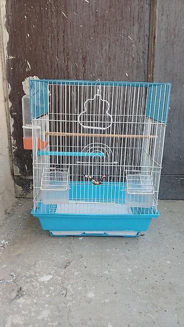 Quş qəfəsi – mavi/ağ rəngli, orta ölçü Xüsusiyyətlər: - Metal lalafo.az -da Quş qəfəsi – mavi/ağ rəngli, orta ölçü Xüsusiyyətlər: - Metal