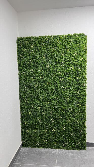 7 man baslayan qihmetler Topdan ve perakenden satis En munasib lalafo.az -da 7 man baslayan qihmetler Topdan ve perakenden satis En munasib