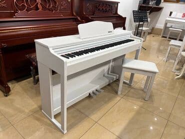 Fleytalar: Piano, Mayga, Rəqəmsal, Yeni, Pulsuz çatdırılma lalafo.az -da — 12 Fleytalar: Piano, Mayga, Rəqəmsal, Yeni, Pulsuz çatdırılma — 12