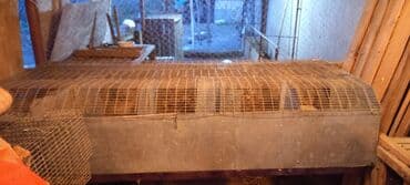 Dəmir torlu çoxbölməli qəfəs - İstifadə sahəsi: dovşan, bildirçin lalafo.az -da Dəmir torlu çoxbölməli qəfəs - İstifadə sahəsi: dovşan, bildirçin