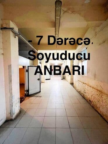 SOYUDUCU ANBARI İCARƏYƏ verilir .Ət və süd məhsullarının saxlanılması lalafo.az -da SOYUDUCU ANBARI İCARƏYƏ verilir .Ət və süd məhsullarının saxlanılması