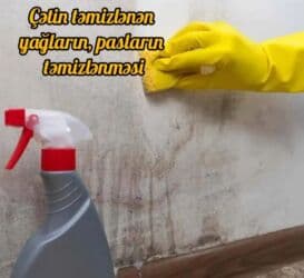 Təmizlik | Ofislər, Mənzillər, Kafe, mağazalar | Pəncərələrin, fasadların yuyulması, Çılçıraqların yuyulması və təmizlənməsi, Ümumi təmizlik lalafo.az -da Təmizlik | Ofislər, Mənzillər, Kafe, mağazalar | Pəncərələrin, fasadların yuyulması, Çılçıraqların yuyulması və təmizlənməsi, Ümumi təmizlik