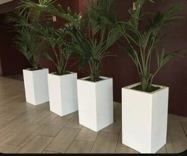 Her razmir de özel dibcek istehsal edirik. Qvadrat ve adede gore lalafo.az -da Her razmir de özel dibcek istehsal edirik. Qvadrat ve adede gore