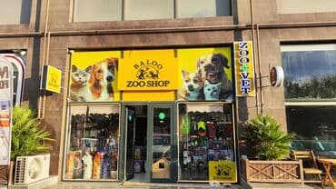 Кассиры: Кассир требуется, Только для женщин, Любой возраст, 1-2 года опыта, Ежемесячная оплата at lalafo.az — 1 Кассиры: Кассир требуется, Только для женщин, Любой возраст, 1-2 года опыта, Ежемесячная оплата — 1