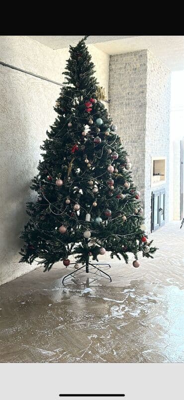 Yolka satılır 400 manata alınıb 200 manata satılır daha ətraflı lalafo.az -da Yolka satılır 400 manata alınıb 200 manata satılır daha ətraflı