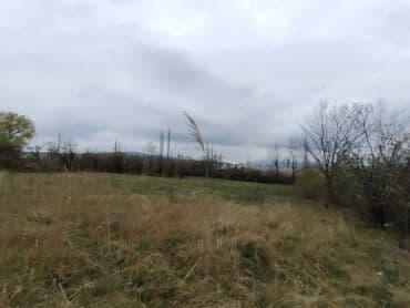 32 sot, Tikinti, Barter mümkündür, Kupça (Çıxarış) lalafo.az -da 32 sot, Tikinti, Barter mümkündür, Kupça (Çıxarış)