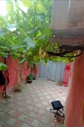 Masazır dairəsində əsas yola yaxın Addelni həyət evində Bəy otaq lalafo.az -da Masazır dairəsində əsas yola yaxın Addelni həyət evində Bəy otaq