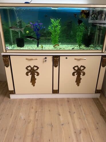 Dördbucaq akvarium, Boş, 500 l, Ödənişli çatdırılma, Ünvandan götürmə lalafo.az -da Dördbucaq akvarium, Boş, 500 l, Ödənişli çatdırılma, Ünvandan götürmə