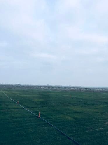 Ландшафтные работы: Qazon satışı kim isdese əlaqe saxlasın super qazondu at lalafo.az — 4 Ландшафтные работы: Qazon satışı kim isdese əlaqe saxlasın super qazondu — 4