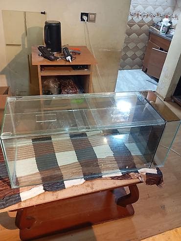 Dördbucaq akvarium, Boş, 152 l, Ünvandan götürmə, Ödənişli çatdırılma lalafo.az -da Dördbucaq akvarium, Boş, 152 l, Ünvandan götürmə, Ödənişli çatdırılma