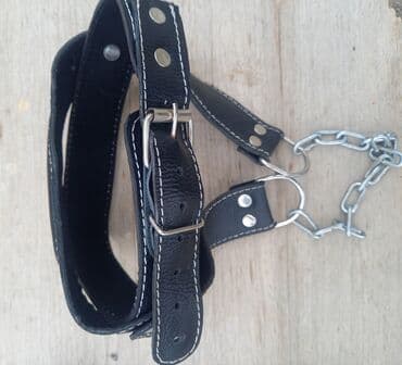 Шлемы: Jqut desti 10azn boyun mesq aletdi 10azn ikiside deze kimidi az at lalafo.az — 2 Шлемы: Jqut desti 10azn boyun mesq aletdi 10azn ikiside deze kimidi az — 2