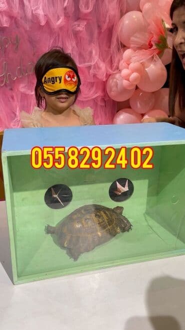 Animatorlar: Tap Şou Uşaq şənlikləri üçün interaktiv əyləncə xidməti - Tematik “Nə lalafo.az -da — 1 Animatorlar: Tap Şou Uşaq şənlikləri üçün interaktiv əyləncə xidməti - Tematik “Nə — 1