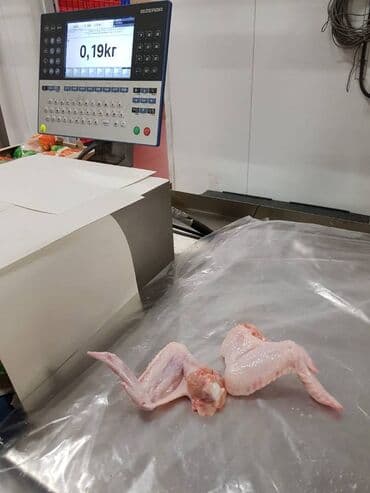 Рыба и морепродукты: Toyug BroylerKend ToyuguToyug Mehsullari Belarusiyadan,Ukraynadan at lalafo.az — 6 Рыба и морепродукты: Toyug BroylerKend ToyuguToyug Mehsullari Belarusiyadan,Ukraynadan — 6