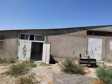 бесплатные стрижки бишкек: Qobu qəsəbəsi Lukoyl yanacaqdoldurma məntəqəsindən 1 km məsafədə yol at lalafo.az — 11 бесплатные стрижки бишкек: Qobu qəsəbəsi Lukoyl yanacaqdoldurma məntəqəsindən 1 km məsafədə yol — 11