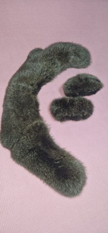 Piseç satılır. real alıcıya endirim olacağ lalafo.az -da Piseç satılır. real alıcıya endirim olacağ