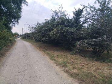 Geely: 10 соток, Для сельского хозяйства, Собственник, Купчая at lalafo.az — 3 Geely: 10 соток, Для сельского хозяйства, Собственник, Купчая — 3