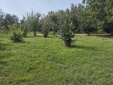 Kənd təsərrüfatı, Kommunal xətlər qoşulmayıb lalafo.az -da Kənd təsərrüfatı, Kommunal xətlər qoşulmayıb