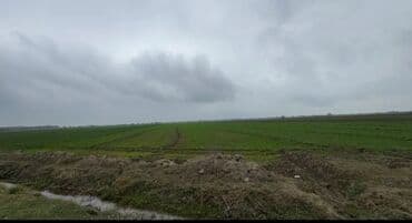 Kənd təsərrüfatı, Mülkiyyətçi lalafo.az -da Kənd təsərrüfatı, Mülkiyyətçi