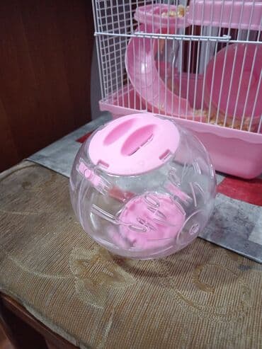 Лекарства для животных: Hamster üçün tam dəst qəfəs - Rəng: açıq çəhrayı/ağ - Korpus: möhkəm at lalafo.az — 4 Лекарства для животных: Hamster üçün tam dəst qəfəs - Rəng: açıq çəhrayı/ağ - Korpus: möhkəm — 4