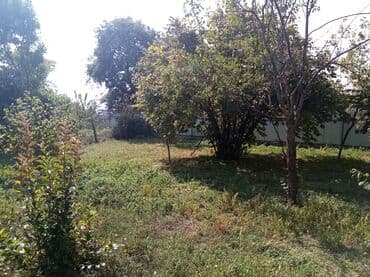 İsmayıllı rayonu diyalli kendinde torpaq sahəsi satilir 10 sot satilir lalafo.az -da İsmayıllı rayonu diyalli kendinde torpaq sahəsi satilir 10 sot satilir