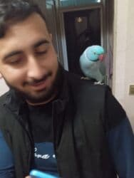 Tam əl quşu heyvan səsləri çıxarır qətiyyən dişləmir lalafo.az -da Tam əl quşu heyvan səsləri çıxarır qətiyyən dişləmir