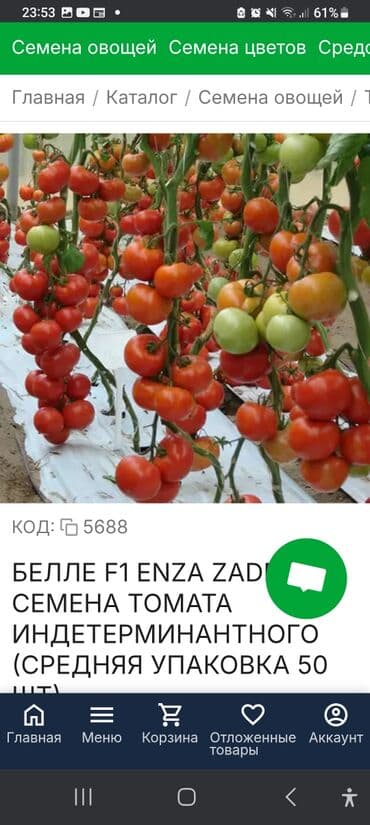 Bitki dərmanları: Məhsul: Toxumlar – Rijk Zwaan və Enza Zaden hibridləri • Rijk Zwaan – lalafo.az -da — 3 Bitki dərmanları: Məhsul: Toxumlar – Rijk Zwaan və Enza Zaden hibridləri • Rijk Zwaan – — 3