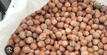 Salam yerli fındığdı xaçmaz məhsuludur.Real alıcı olsa endirim olacaq lalafo.az -da Salam yerli fındığdı xaçmaz məhsuludur.Real alıcı olsa endirim olacaq