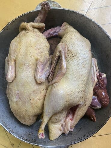 Məhsul: Təmizlənmiş ördek (içalatı ilə) Təsvir: - Tam təmizlənmiş lalafo.az -da Məhsul: Təmizlənmiş ördek (içalatı ilə) Təsvir: - Tam təmizlənmiş