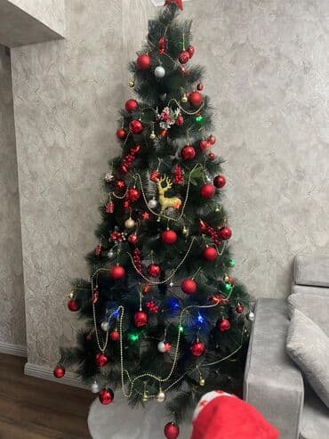 Yolka oyuncaqları ışığı ustunde verılır
Uzunu 2.50 lalafo.az -da Yolka oyuncaqları ışığı ustunde verılır
Uzunu 2.50