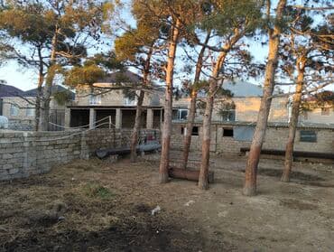 Kənd təsərrüfatı lalafo.az -da Kənd təsərrüfatı