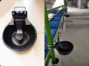 Yem qabı, Su üçün, Heyvanlar üçün, Ünvandan götürmə, Pulsuz çatdırılma, Ödənişli çatdırılma lalafo.az -da Yem qabı, Su üçün, Heyvanlar üçün, Ünvandan götürmə, Pulsuz çatdırılma, Ödənişli çatdırılma