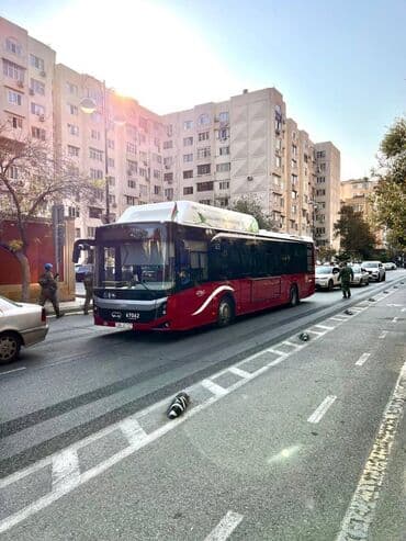 ПО для бизнеса: Hazır biznes satılır. PLAYSTATİON CLUB. ( 14 komputredir. PS3 - 8 at lalafo.az — 28 ПО для бизнеса: Hazır biznes satılır. PLAYSTATİON CLUB. ( 14 komputredir. PS3 - 8 — 28