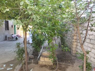 3 kv. m, 6 otaqlı, Qaz, İnternet, Artezian quyusu lalafo.az -da — 17 3 kv. m, 6 otaqlı, Qaz, İnternet, Artezian quyusu — 17