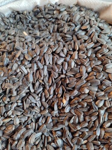 Ləpələr: Qovrulmuş və çiy,ağ və qara semiçkalar çəki ilə satılır. Sifariş lalafo.az -da — 8 Ləpələr: Qovrulmuş və çiy,ağ və qara semiçkalar çəki ilə satılır. Sifariş — 8