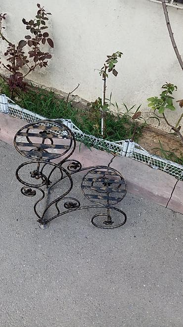 Yeni, Gül rəfi lalafo.az -da Yeni, Gül rəfi