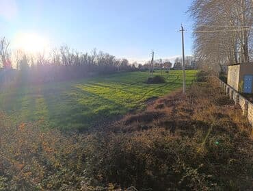 380 sot, Biznes üçün lalafo.az -da 380 sot, Biznes üçün