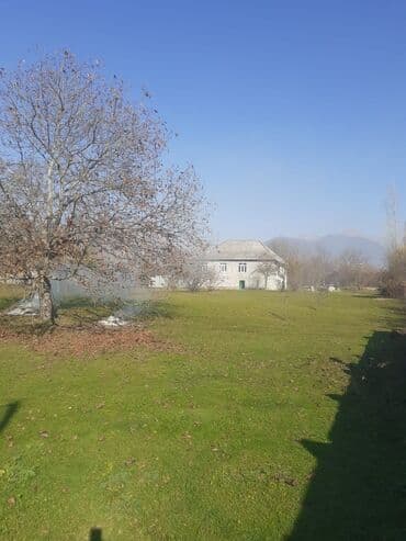 30 sot, Tikinti, Kupça (Çıxarış) lalafo.az -da 30 sot, Tikinti, Kupça (Çıxarış)