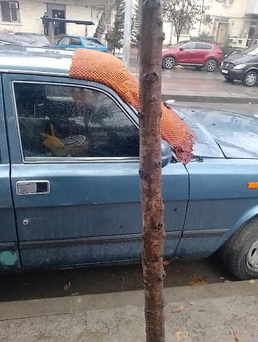Model: GAZ Volga sedan (4 qapı), arxa ötürücü Əsas xüsusiyyətlər: - lalafo.az -da — 6 Model: GAZ Volga sedan (4 qapı), arxa ötürücü Əsas xüsusiyyətlər: - — 6