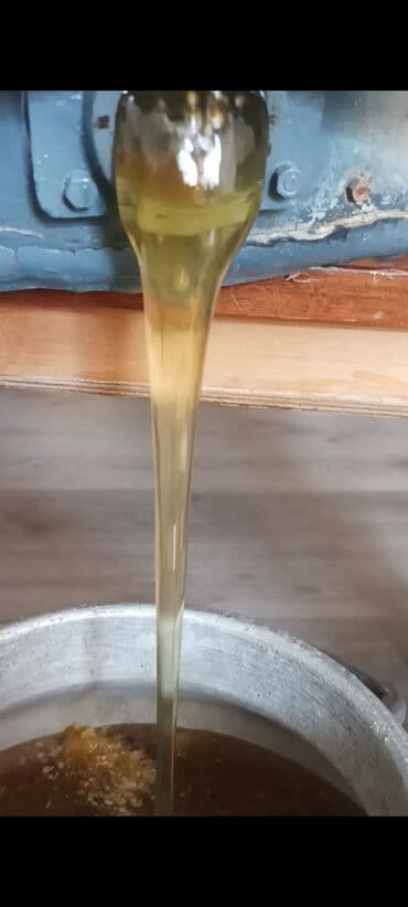 Təbii bal öz məhsulumuzdur tam zəmanətli alıb istifadə edə bilərsiniz lalafo.az -da Təbii bal öz məhsulumuzdur tam zəmanətli alıb istifadə edə bilərsiniz