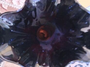 Heç bir yerində qırıqı yoxdu reyal alıcılar zəka etsin gül qabıdı lalafo.az -da Heç bir yerində qırıqı yoxdu reyal alıcılar zəka etsin gül qabıdı