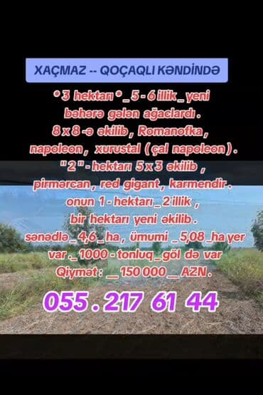 508 sot, Kənd təsərrüfatı, Kupça (Çıxarış) lalafo.az -da 508 sot, Kənd təsərrüfatı, Kupça (Çıxarış)