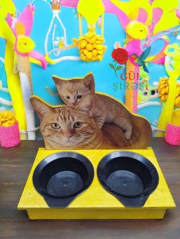 Миски для воды и еды: Məhsul: Pişik temalı qidalandırıcı stendlər - Dizayn: Taxta əsaslı at lalafo.az — 6 Миски для воды и еды: Məhsul: Pişik temalı qidalandırıcı stendlər - Dizayn: Taxta əsaslı — 6