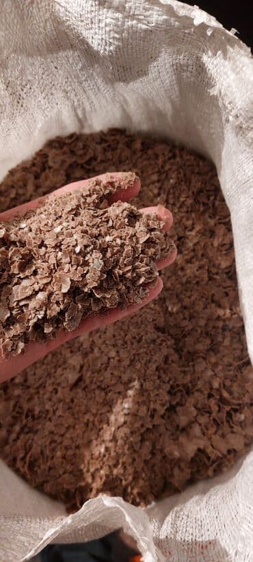 Günə baxan tumlarının jımıxı çox faydalıdır heyvan və toyuqlar üçün lalafo.az -da Günə baxan tumlarının jımıxı çox faydalıdır heyvan və toyuqlar üçün