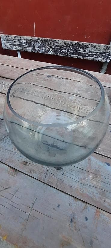 Yumru akvarium, 10 l, Ödənişli çatdırılma lalafo.az -da Yumru akvarium, 10 l, Ödənişli çatdırılma