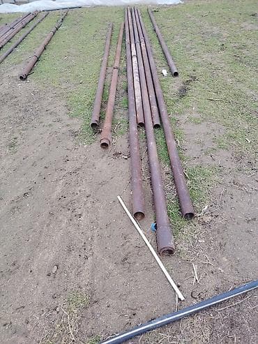 8 metr 50 lik broyler turbalar təcili dəyərinnen awagi satilir lalafo.az -da 8 metr 50 lik broyler turbalar təcili dəyərinnen awagi satilir